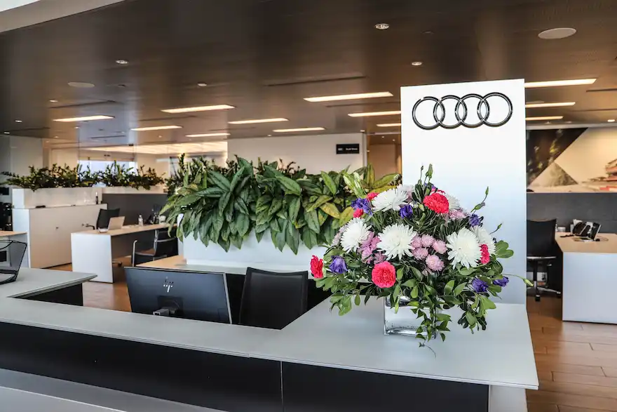 Audi Tucson front desk